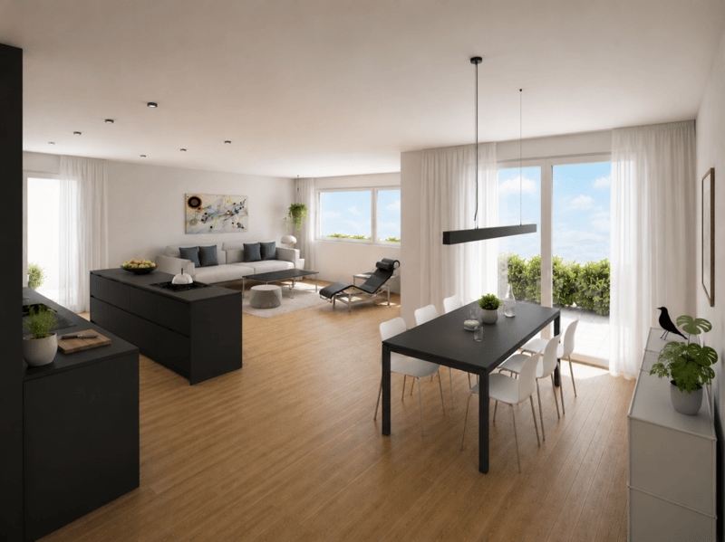 Appartement spacieux avec terrasse et vue sur les montagnes et part de jardin privée (1)