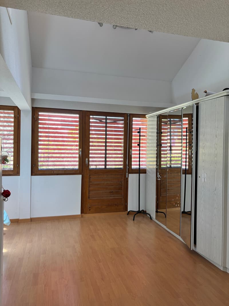 Villa d'eccezione con garage, laboratorio, giardino paesaggistico e giardino d'inverno (19)