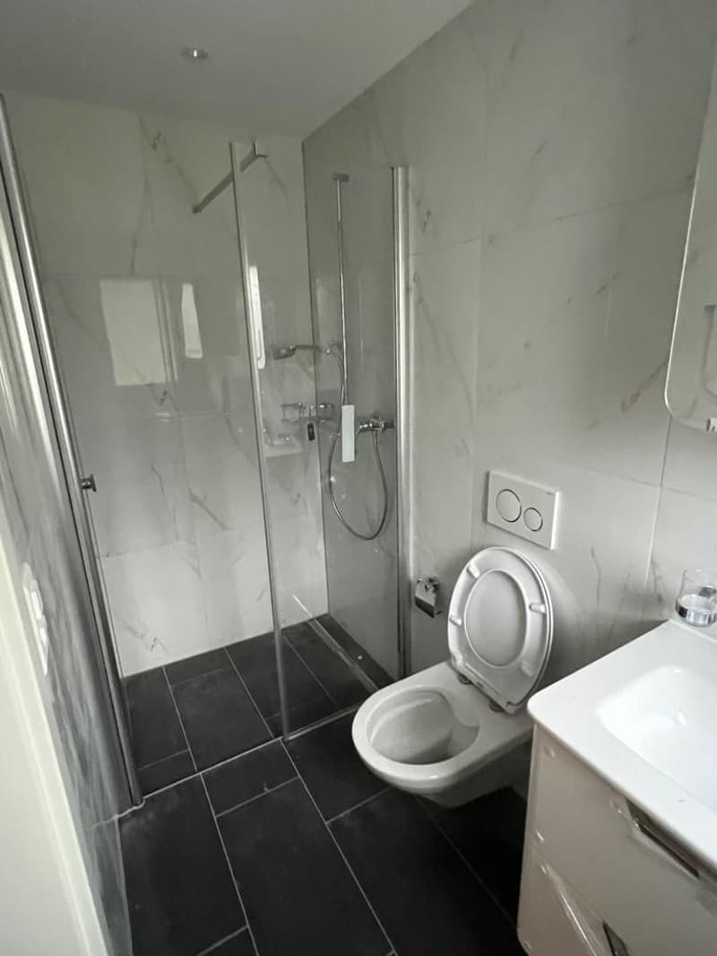 Wunderbare 4.5 Zimmer-Wohnung in Rohrbachgraben (4)