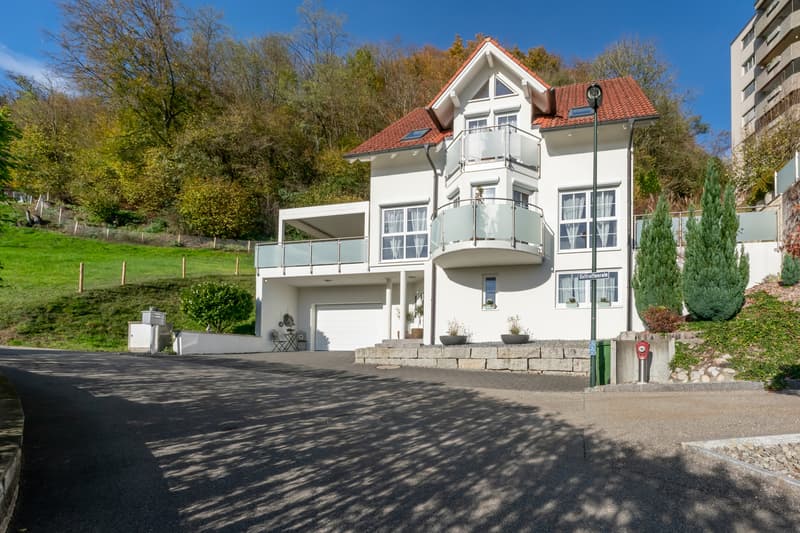 Frontansicht 3