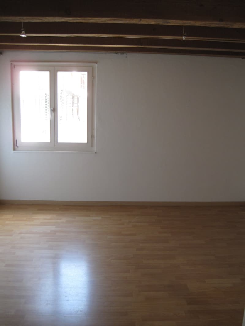 Cozy 3-room old building apartment with balcony in Freienstein-Teufen (6)