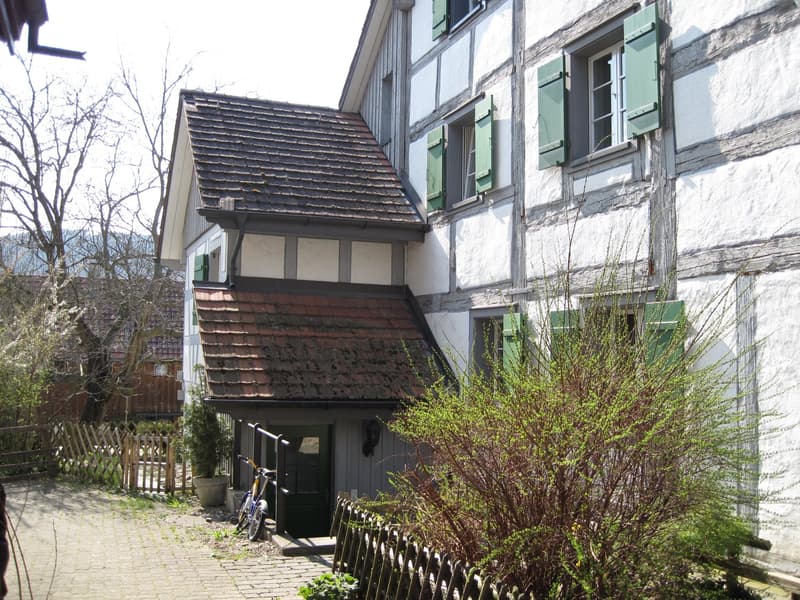 Cozy 3-room old building apartment with balcony in Freienstein-Teufen (1)