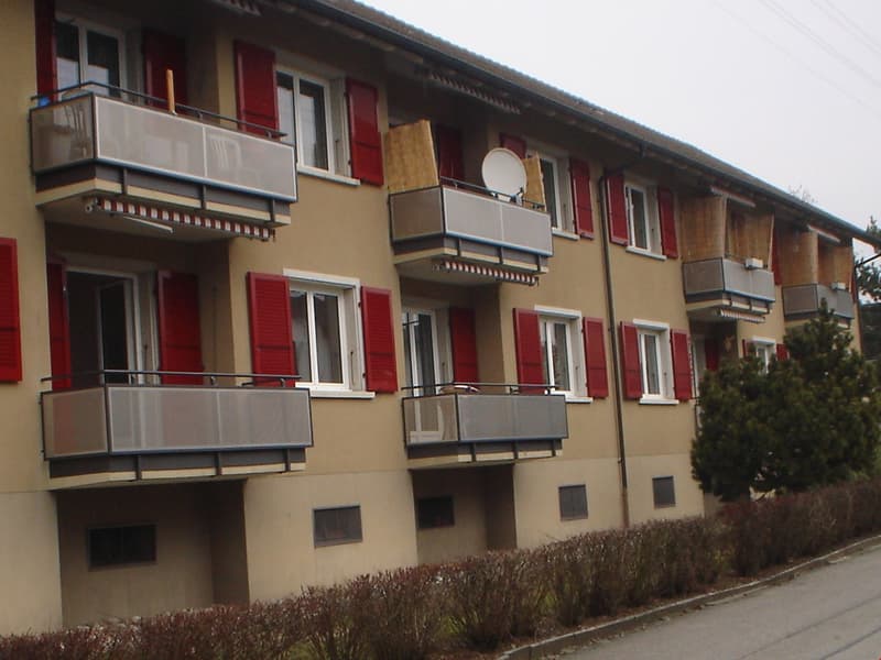 Appartamento in cooperativa di 4 camere (2)