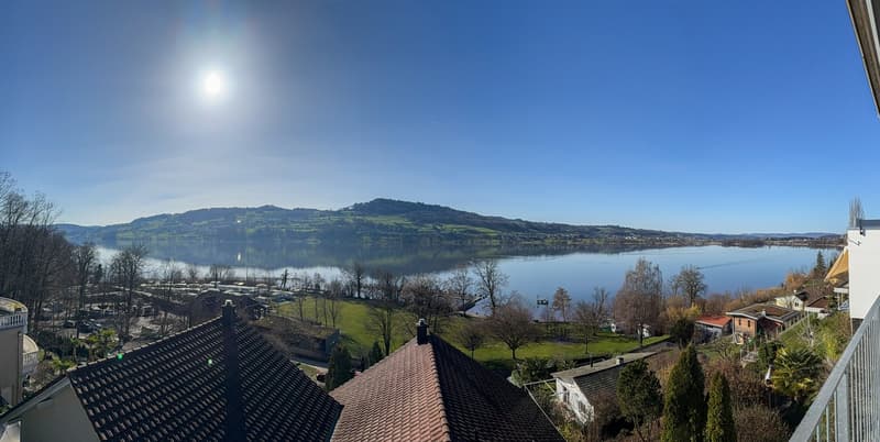 Exklusives 6.5-Zimmer-Einfamilienhaus in Tennwil (11)