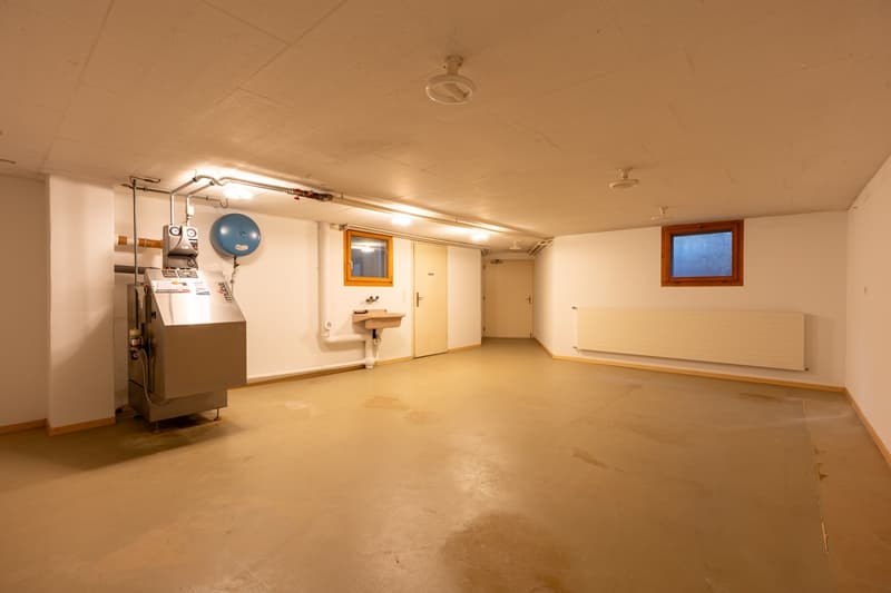 Charmante maison unifamiliale de 7,5 pièces avec sauna et garage à Brittnau (20)