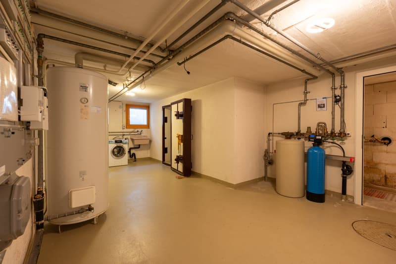 Charmante maison unifamiliale de 7,5 pièces avec sauna et garage à Brittnau (21)