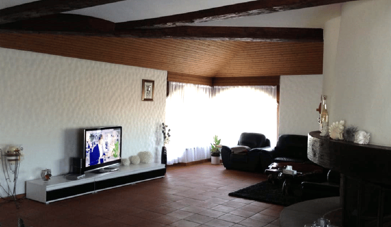 Spacious and remarkable single-family house (9)