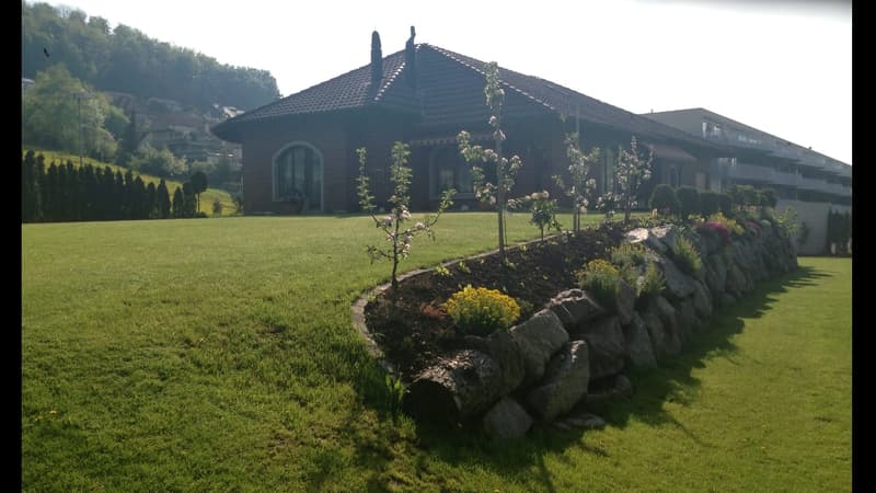 Spacious and remarkable single-family house (6)