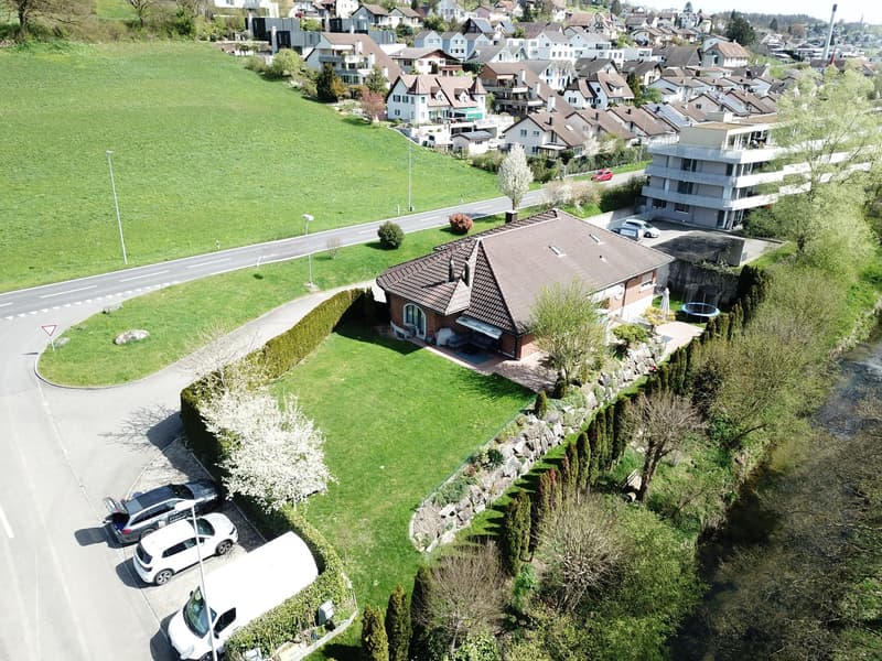 Spacious and remarkable single-family house (2)