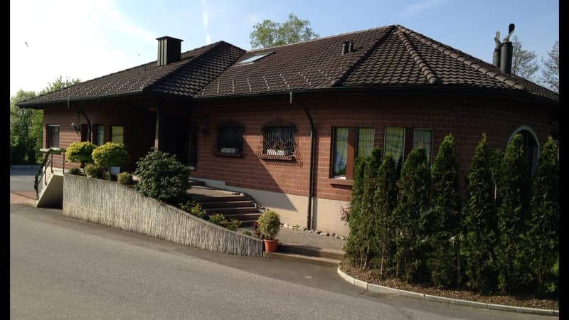 Spacious and remarkable single-family house (3)