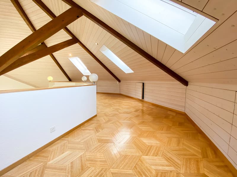 Villa de campagne avec une architecture unique et un potentiel de développement (12)