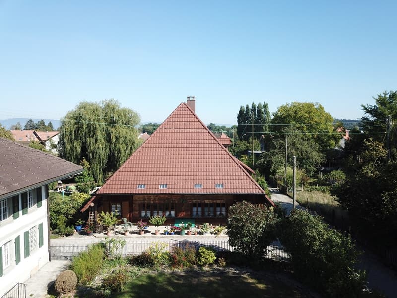 Maison paysanne de 5,5 pièces avec un grand potentiel de rénovation dans le pittoresque Lotzwil (3)