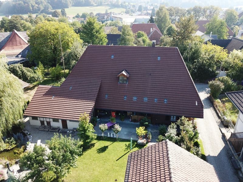 Maison paysanne de 5,5 pièces avec un grand potentiel de rénovation dans le pittoresque Lotzwil (2)