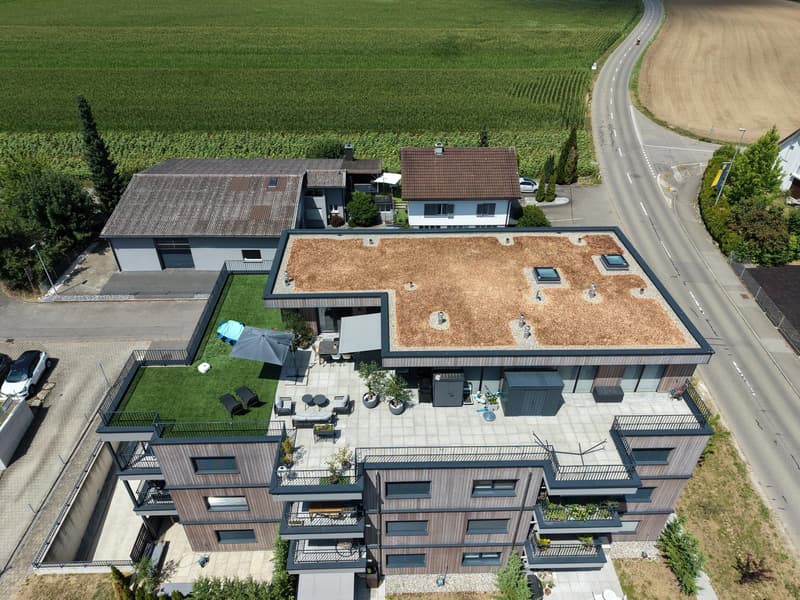 Exklusive 4.5-Zimmer-Attikawohnung mit 188 m² Terrasse (3)