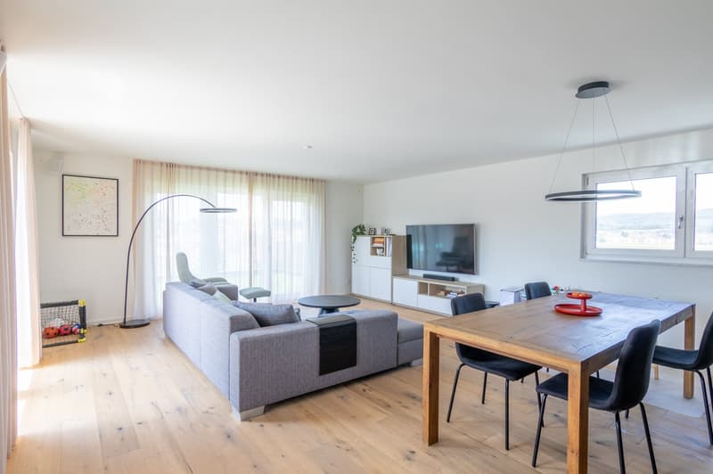 Exklusive 4.5-Zimmer-Attikawohnung mit 188 m² Terrasse (15)