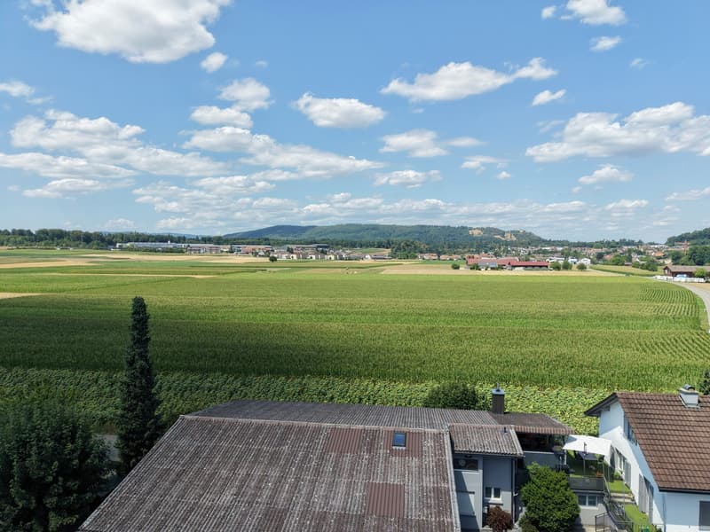 Exklusive 4.5-Zimmer-Attikawohnung mit 188 m² Terrasse (4)