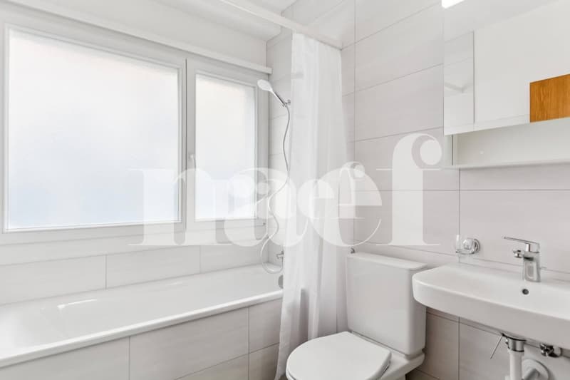 Beautiful 2-room apartment completely renovated with balcony on the ground floor (9)