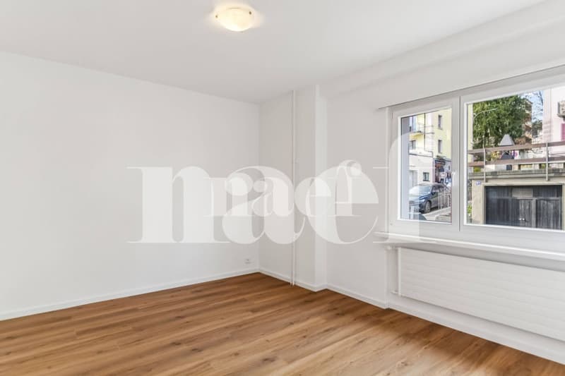 Beautiful 2-room apartment completely renovated with balcony on the ground floor (3)