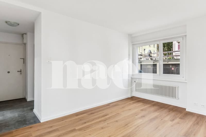 Beautiful 2-room apartment completely renovated with balcony on the ground floor (6)