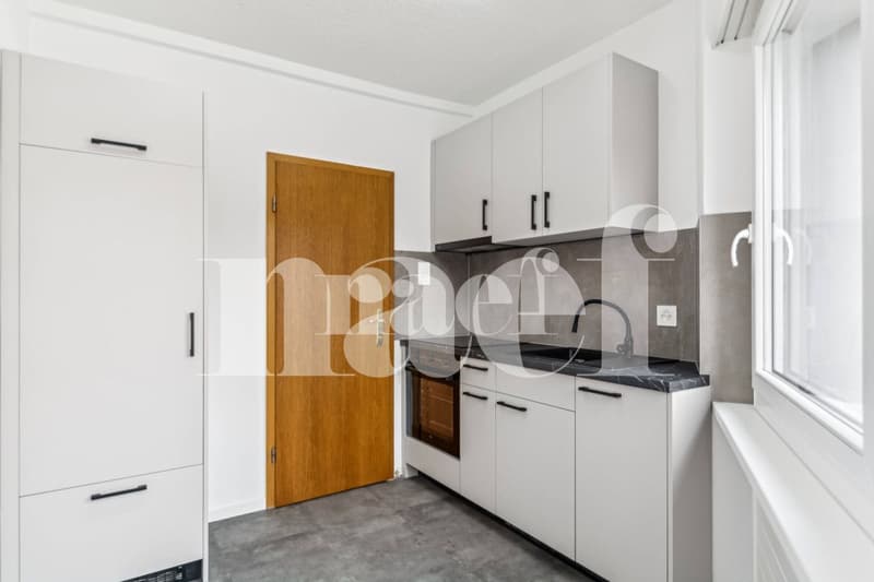 Beautiful 2-room apartment completely renovated with balcony on the ground floor (2)