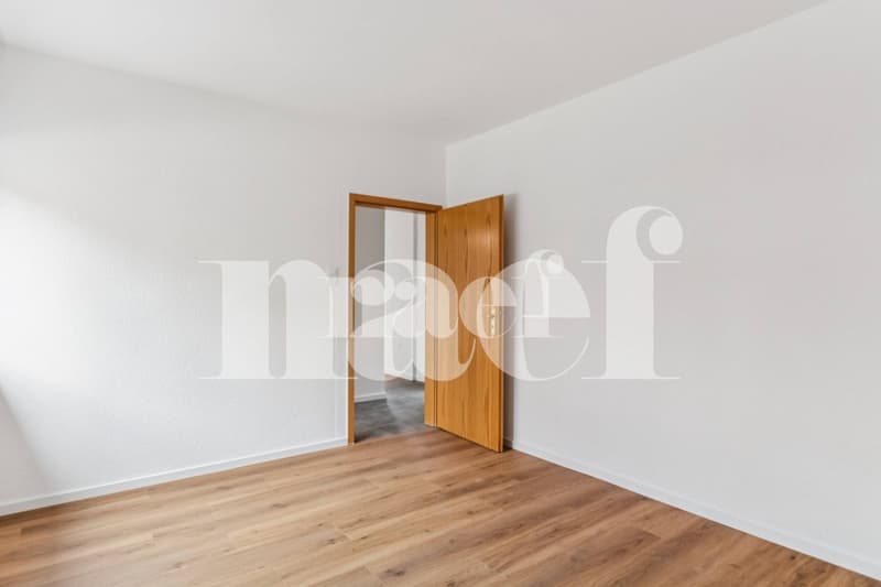 Beautiful 2-room apartment completely renovated with balcony on the ground floor (8)