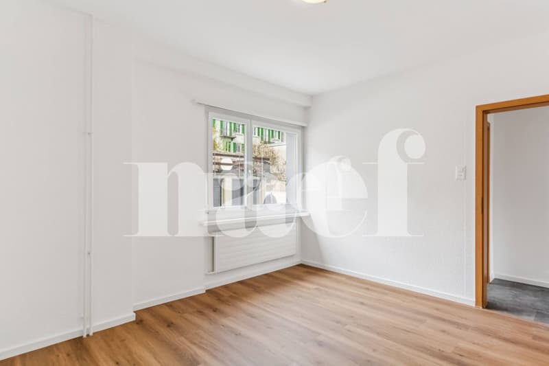 Beautiful 2-room apartment completely renovated with balcony on the ground floor (4)