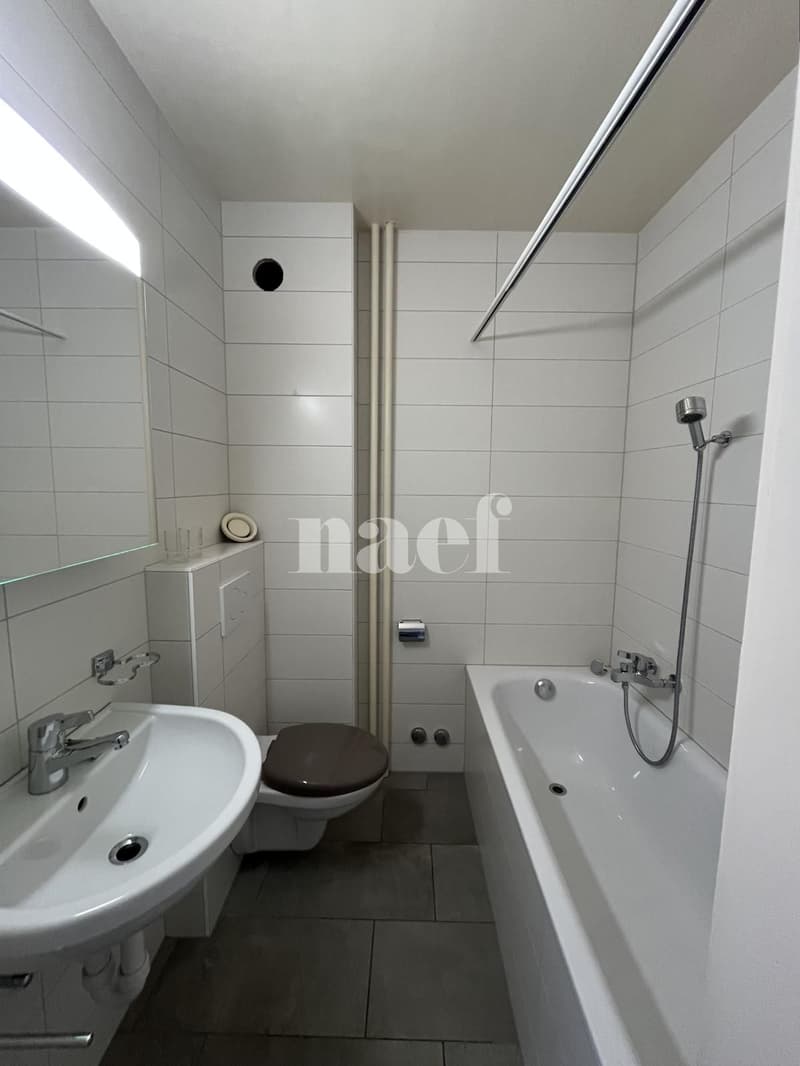 Charmanter 3-Zimmer-Wohnung im 1. Stock (8)