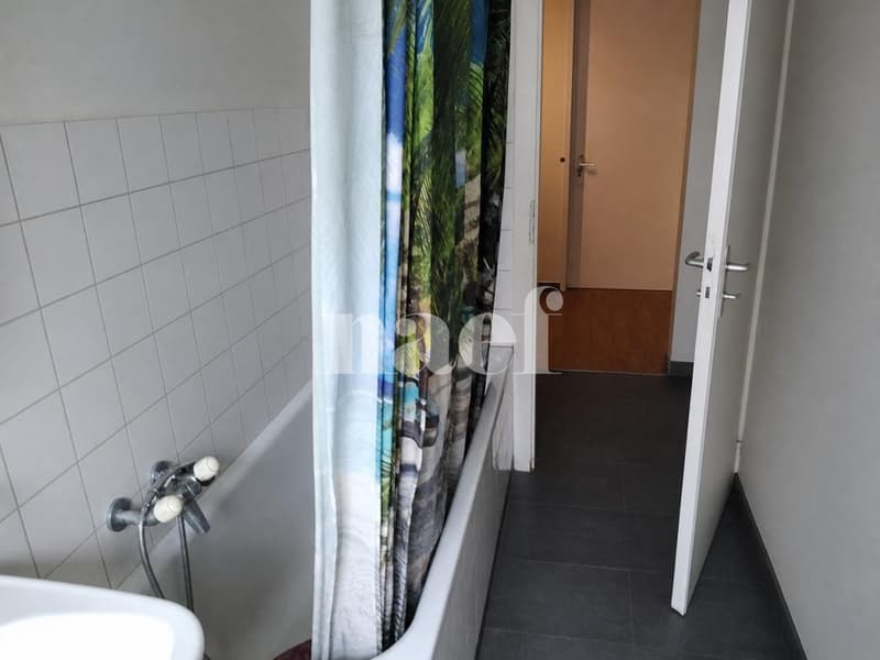 Wohnung mit 3.5 Zimmern neben dem Collège de la Promenade (6)