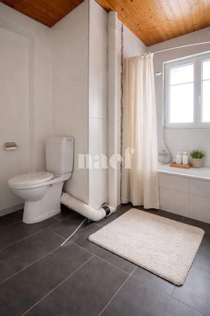 Magnificent 4.5-room apartment for rent (2)