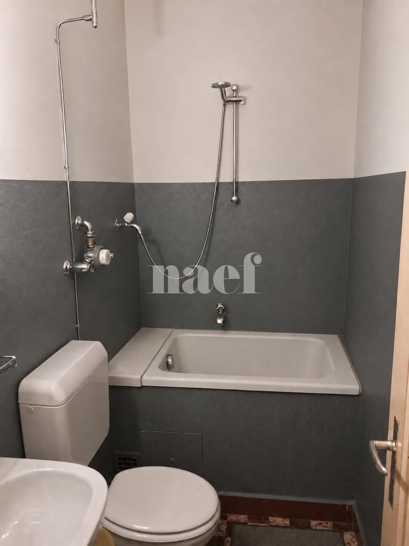 Wohnung mit 3 Zimmern in der Innenstadt (6)