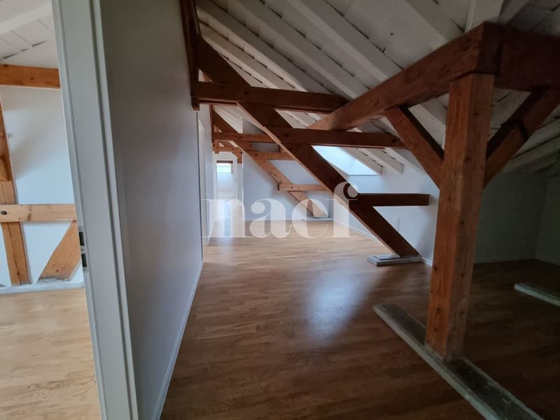 PRIMO AFFITTO NETTO OFFERTO !! Eccezionale, atipico, superbo appartamento di 4 locali con travi a vista (6)