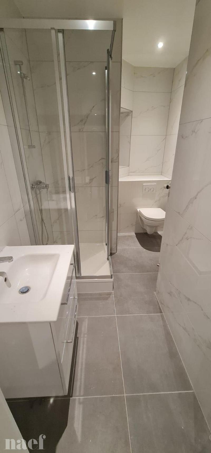 Appartamento di quattro locali recentemente ristrutturato con balcone e veranda (8)