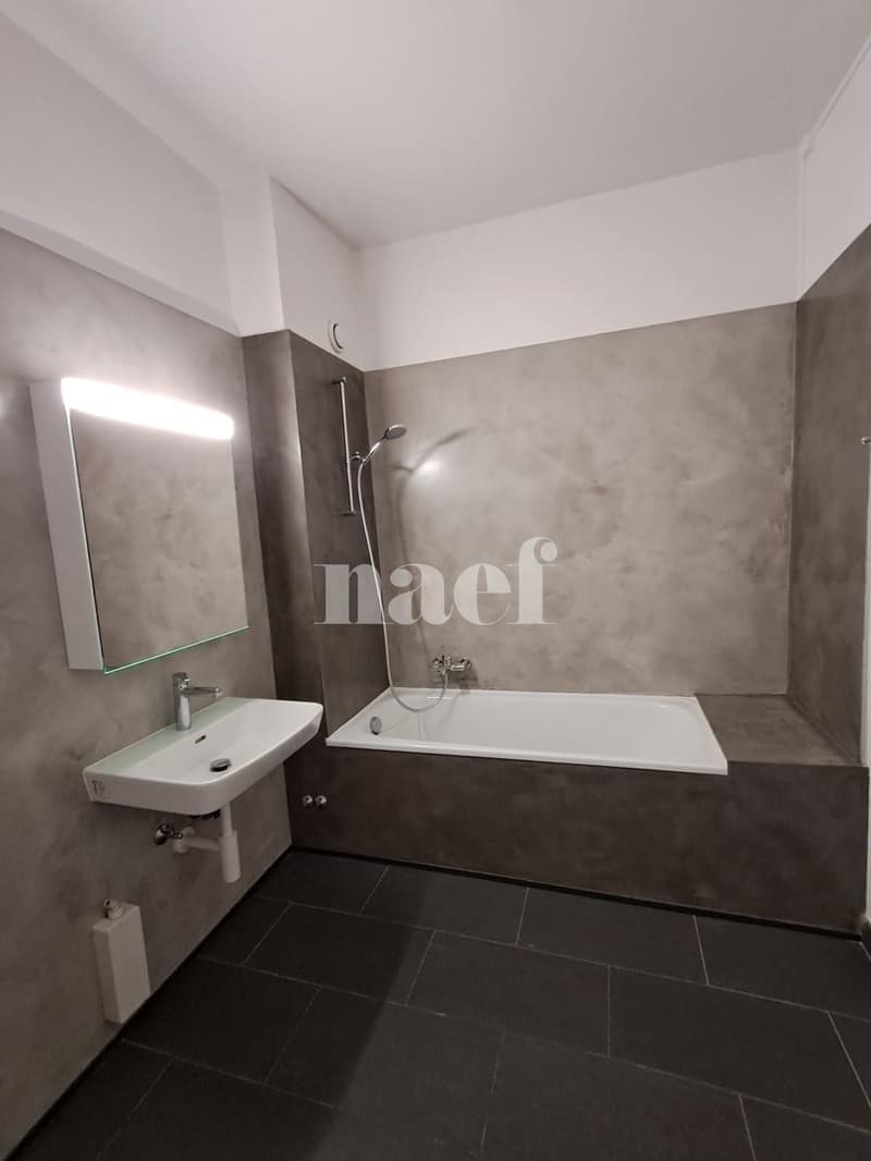Wohnung mit 3 Zimmern und Charme renoviert (5)