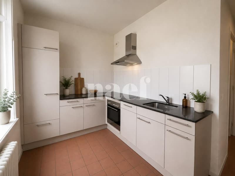 2.5 rooms renovated in the La Renouvelle cooperative (2)