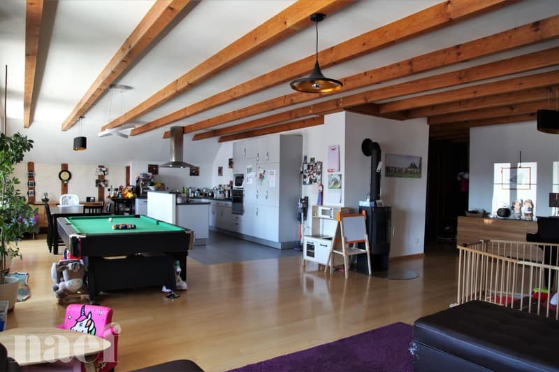 Beautiful and large bright 5-room apartment (3)