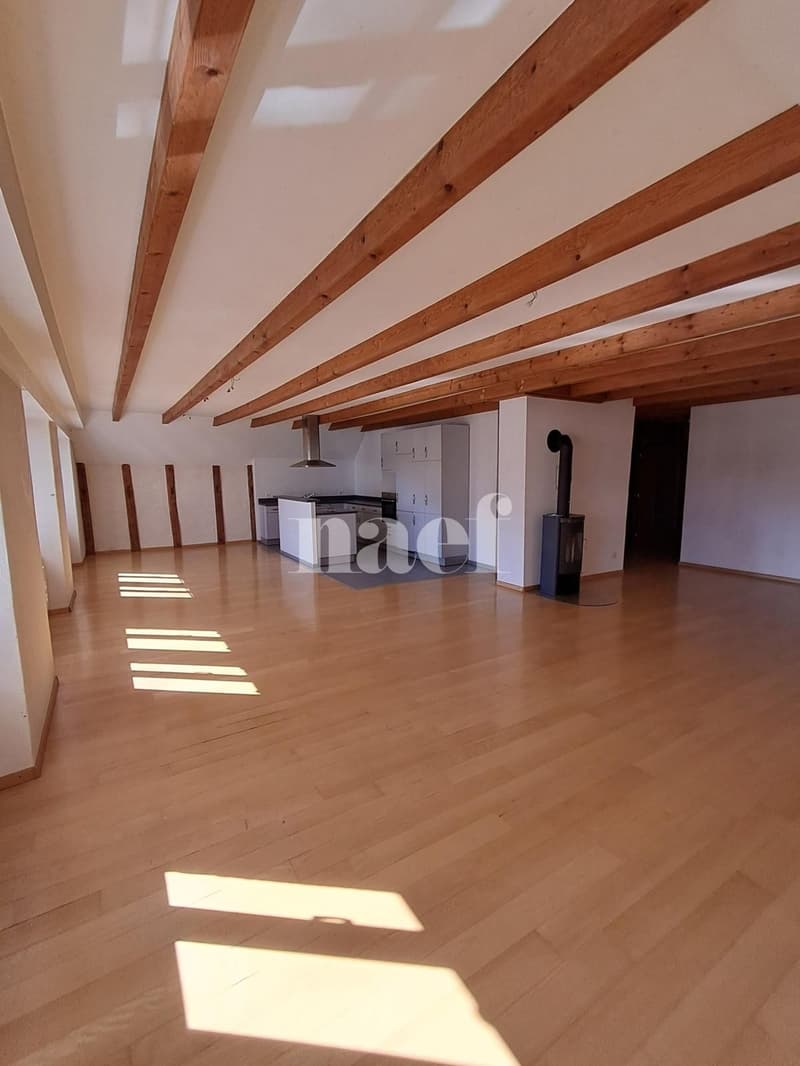 Beautiful and large bright 5-room apartment (1)