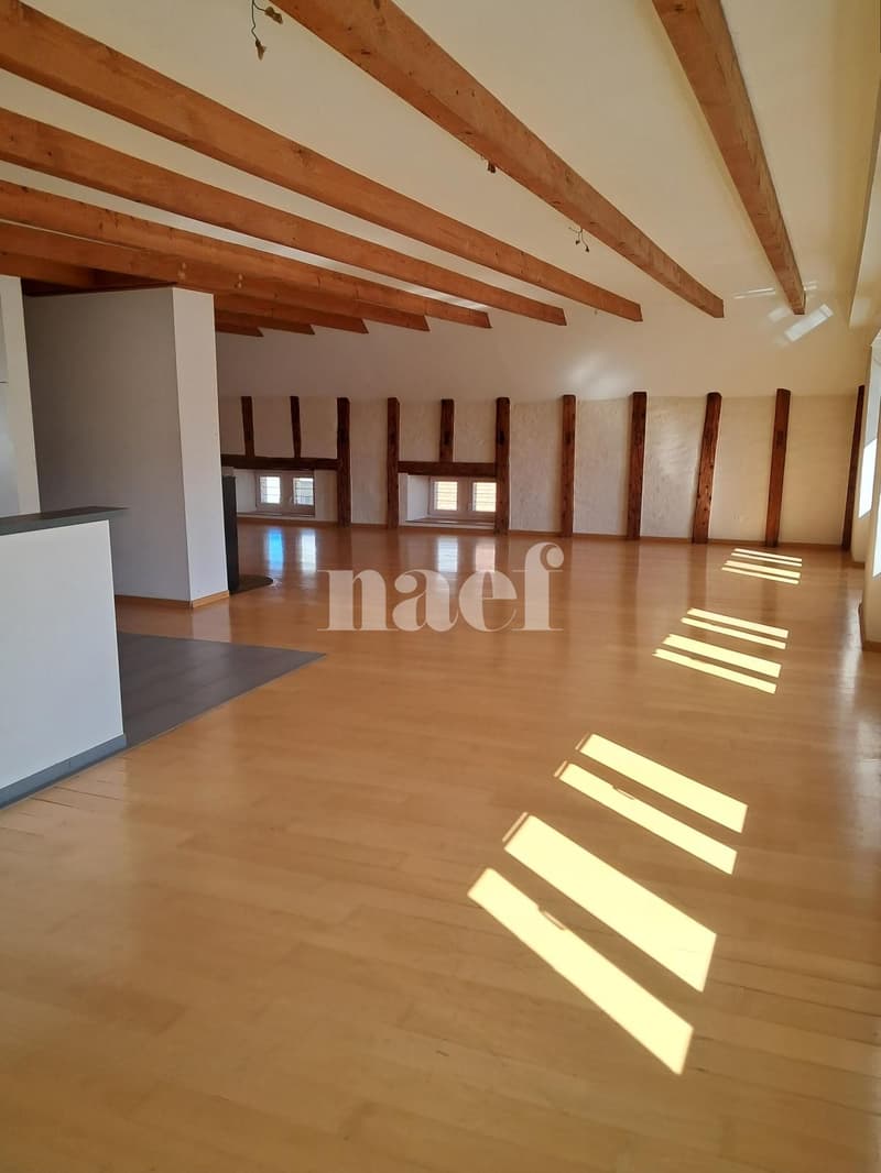 Beautiful and large bright 5-room apartment (2)