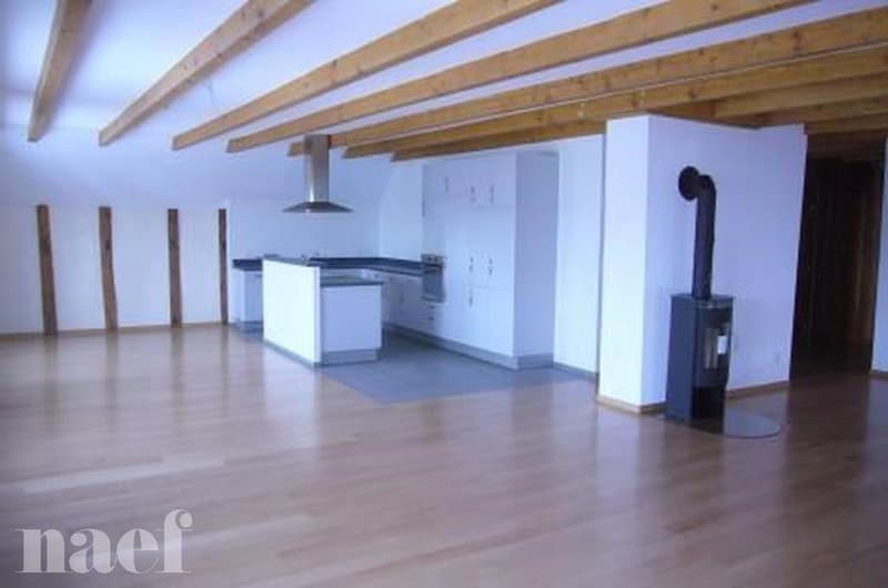 Beautiful and large bright 5-room apartment (1)