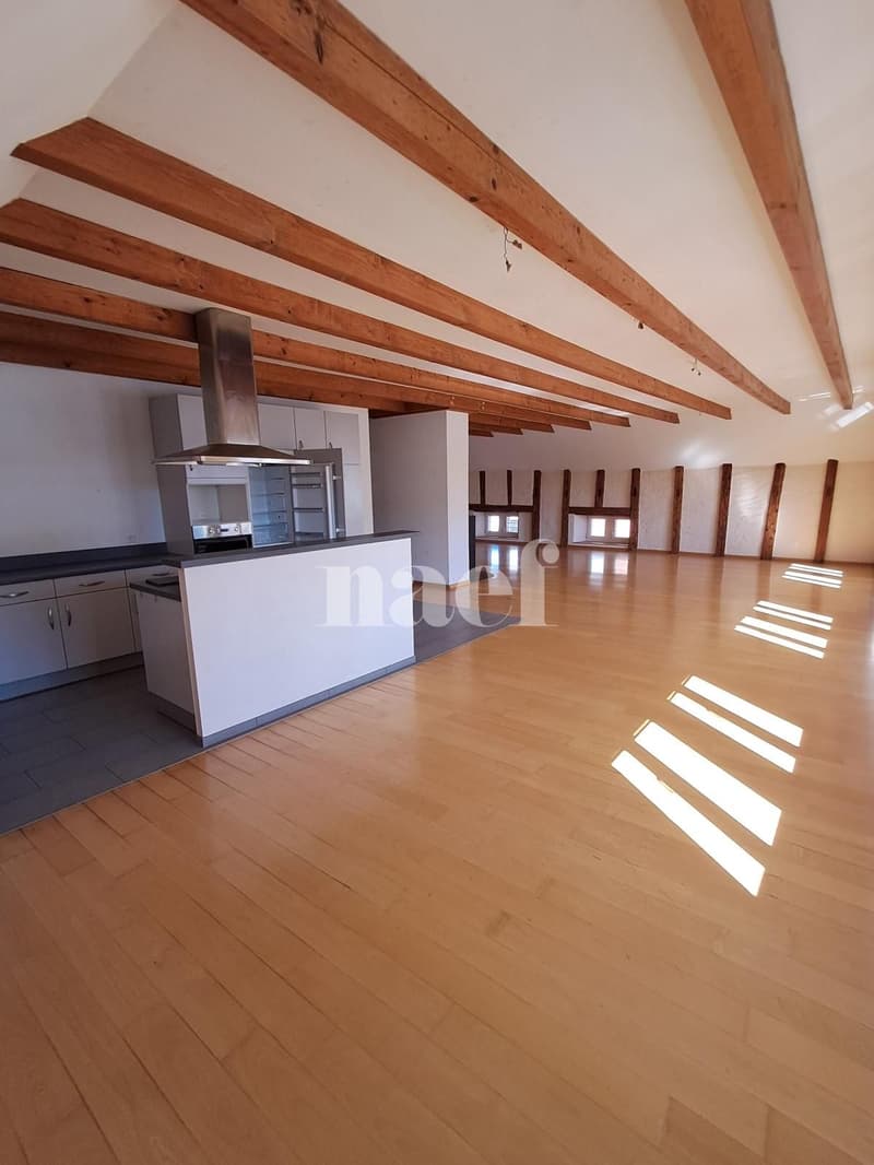 Beautiful and large bright 5-room apartment (3)