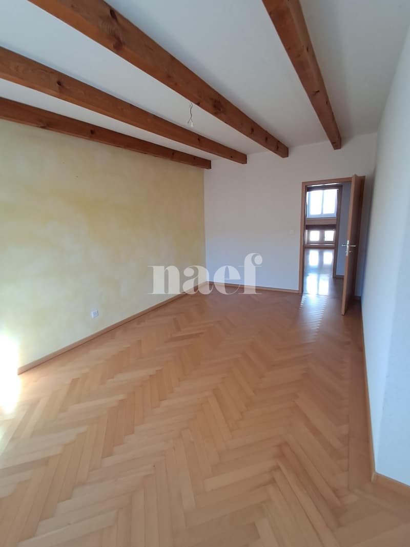 Beautiful and large bright 5-room apartment (6)