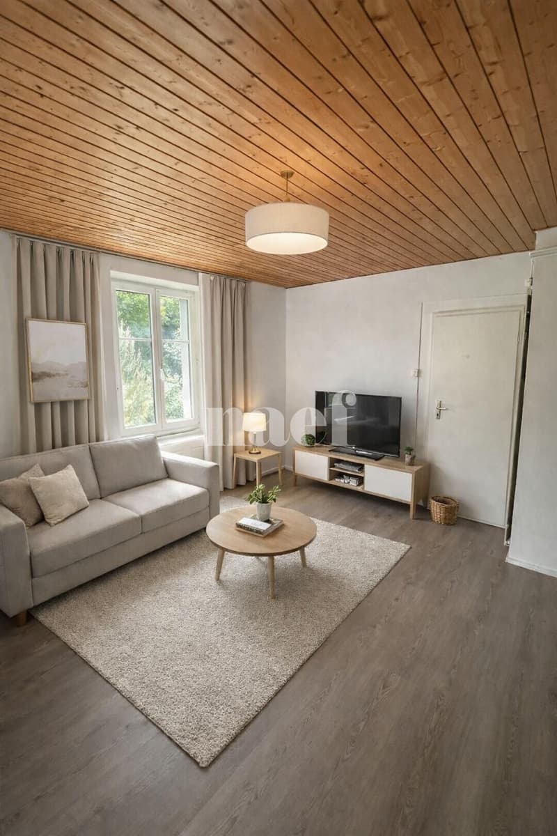 2.5-room apartment in the city center with garden (3)