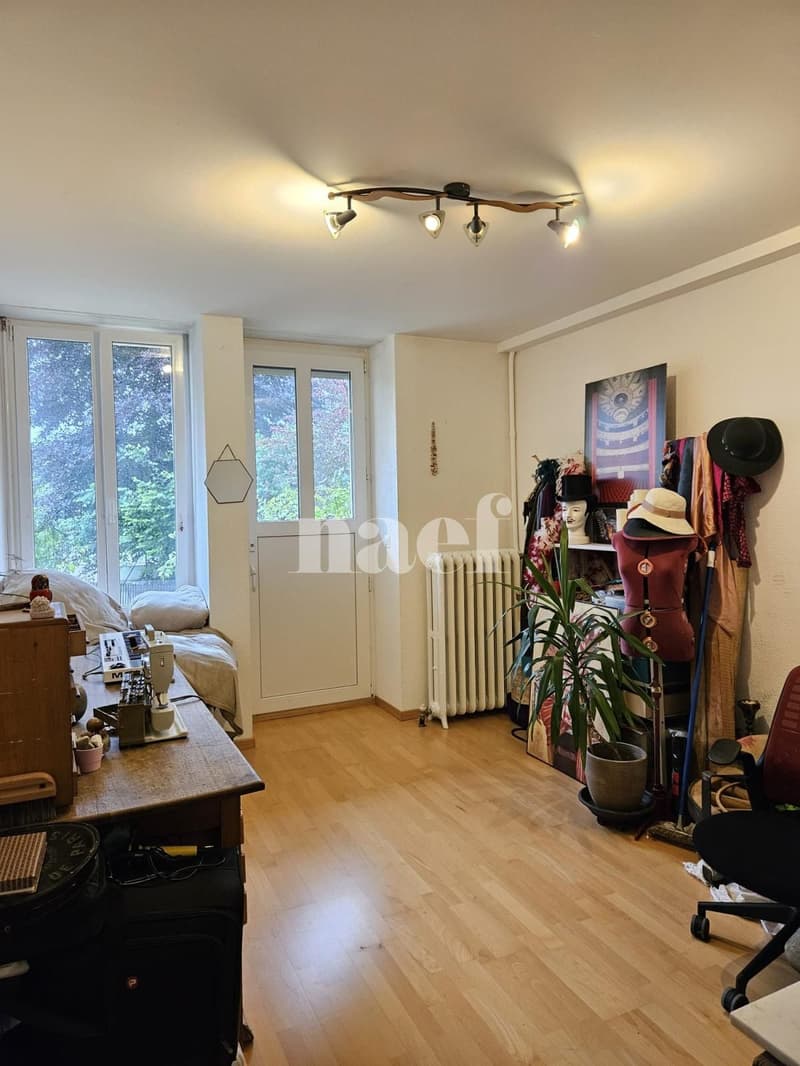 Appartamento di tre locali al piano seminterrato con accesso diretto al giardino (5)