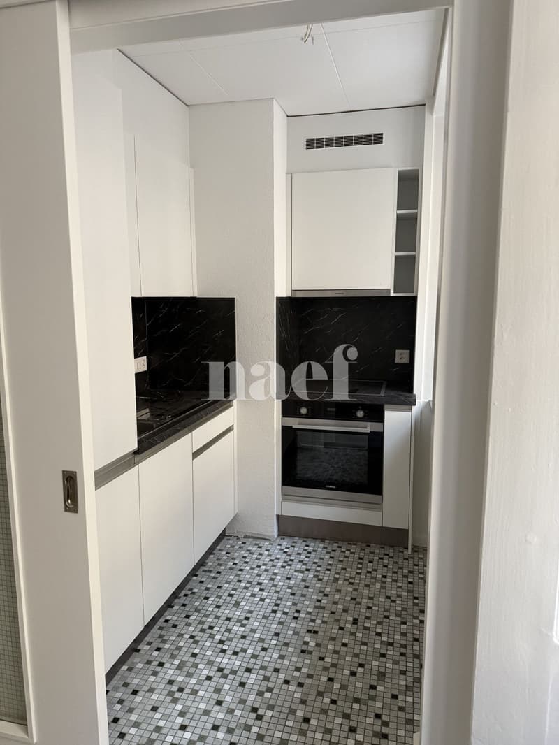 Appartamento di 2,5 locali nel Centro Città (4)