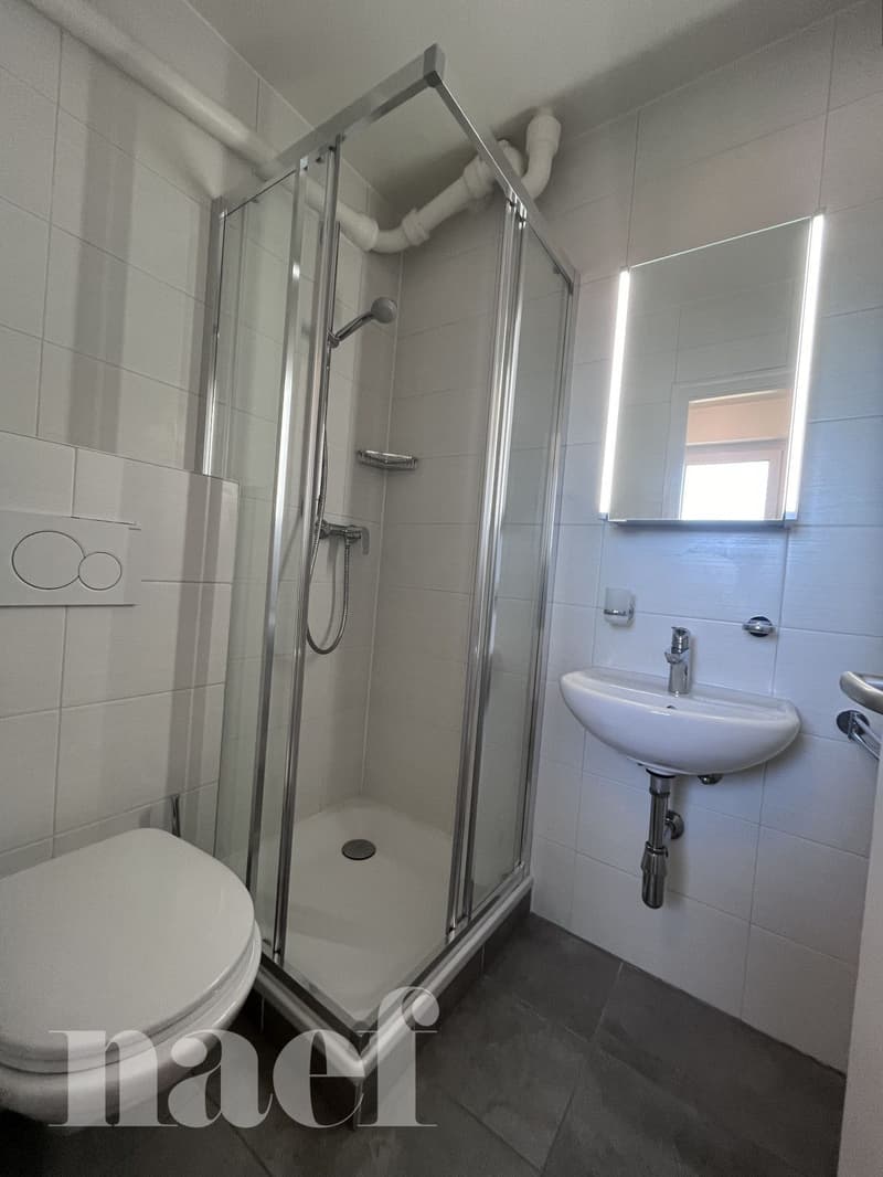 Studio ristrutturato carino (9)