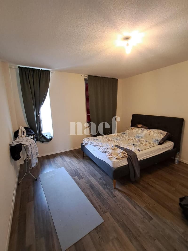 Lovely 2.5-room apartment with terrace (5)
