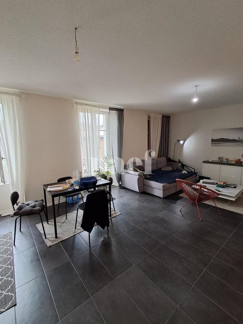 Lovely 2.5-room apartment with terrace (3)
