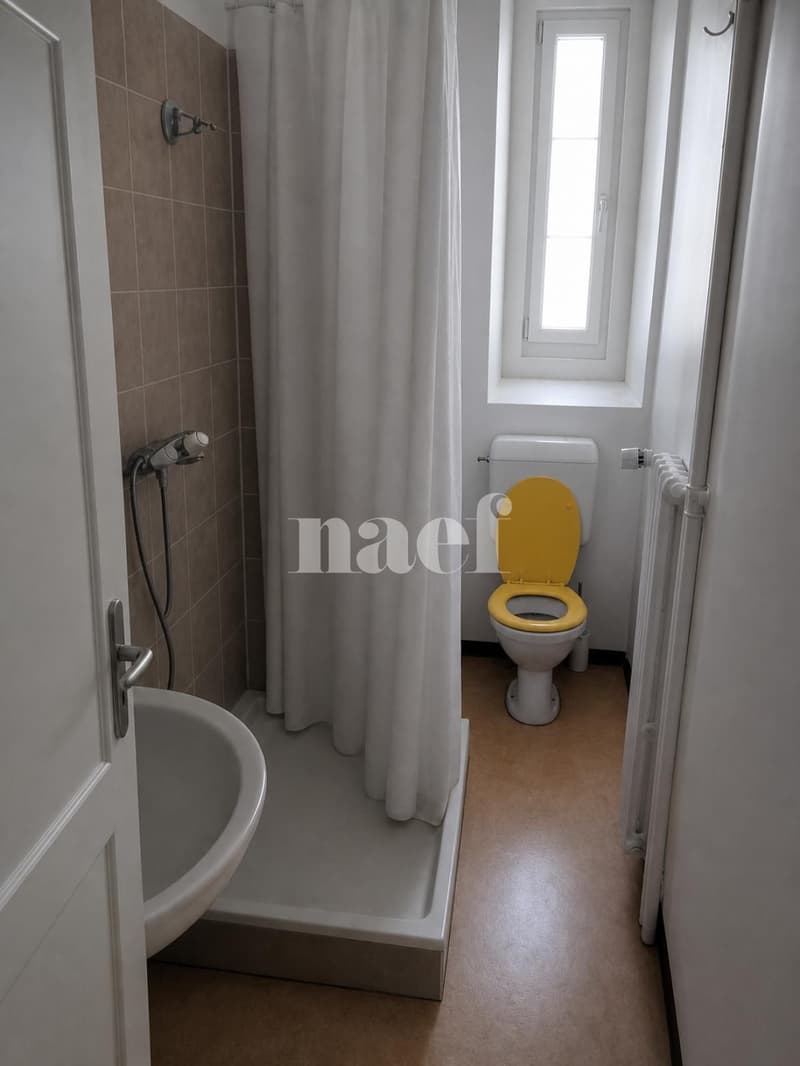 Dreizimmerwohnung in der Nähe des Marktplatzes (6)
