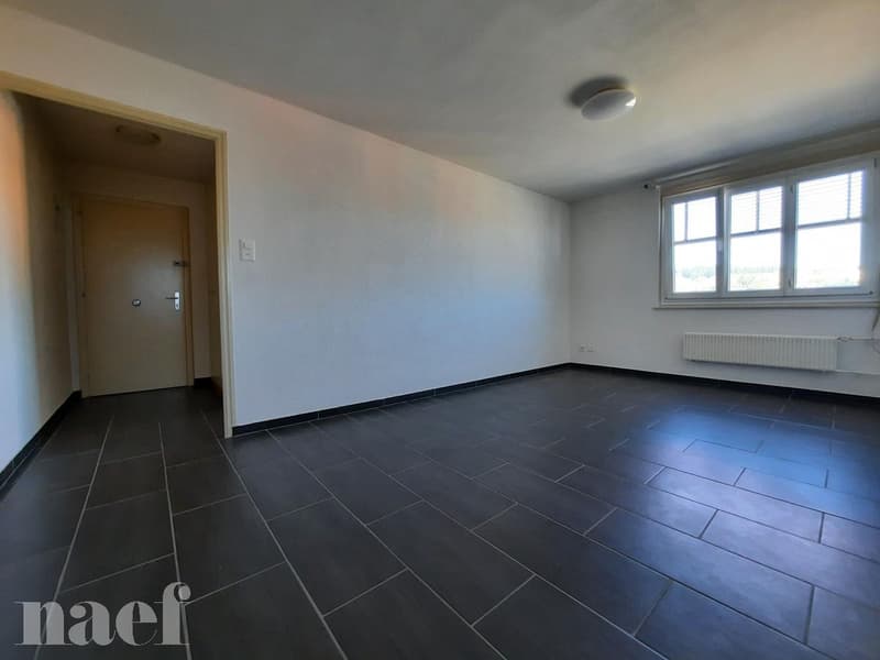 Schönes 3-Zimmer-Apartment im 3. Stock (3)