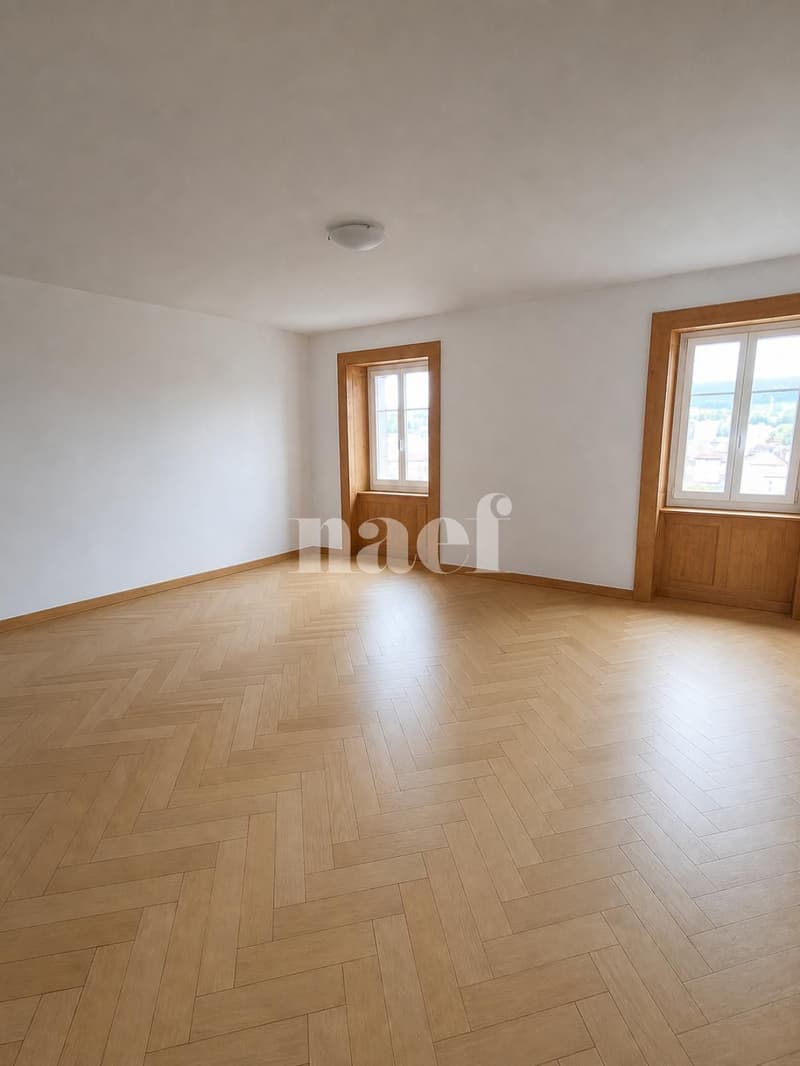 Duplex spazioso e luminoso di 6.5 locali con giardino comune (4)