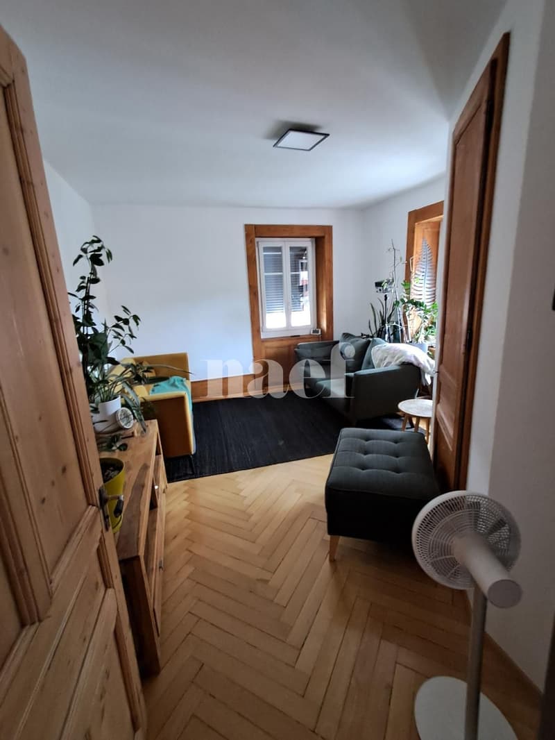 Duplex spazioso e luminoso di 6.5 locali con giardino comune (1)